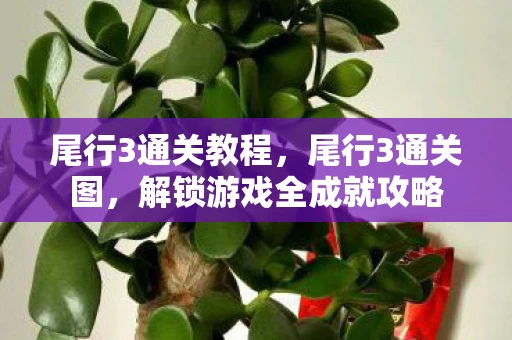 尾行3通关教程，尾行3通关图，解锁游戏全成就攻略