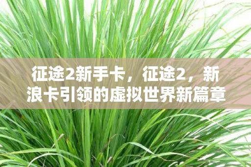 征途2新手卡，征途2，新浪卡引领的虚拟世界新篇章