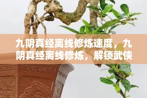 九阴真经离线修炼速度，九阴真经离线修炼，解锁武侠世界的秘密