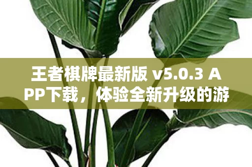 体验全新升级的游戏魅力图片
