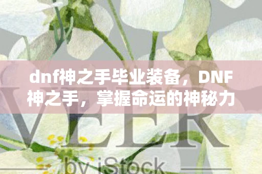 dnf神之手毕业装备，DNF神之手，掌握命运的神秘力量