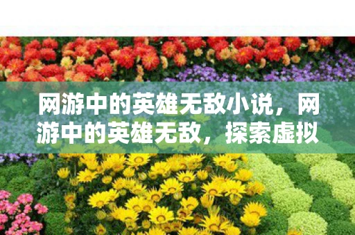 网游中的英雄无敌小说，网游中的英雄无敌，探索虚拟世界的王者之路