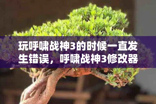 玩呼啸战神3的时候一直发生错误，呼啸战神3修改器，解锁无限可能的战斗体验