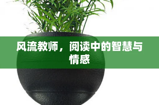 风流教师，阅读中的智慧与情感