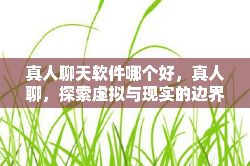真人聊天软件哪个好，真人聊，探索虚拟与现实的边界