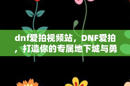 dnf爱拍视频站，DNF爱拍，打造你的专属地下城与勇士视频平台