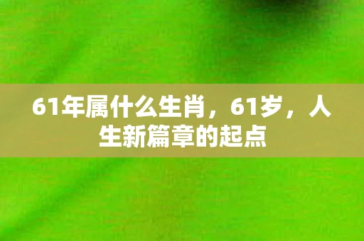 61年属什么生肖，61岁，人生新篇章的起点