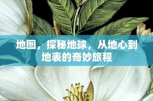 地图，探秘地球，从地心到地表的奇妙旅程
