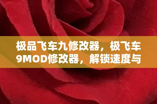 极品飞车九修改器，极飞车9MOD修改器，解锁速度与激情的无限可能