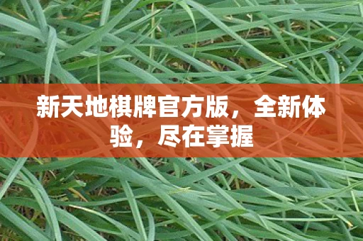 新天地棋牌官方版图片