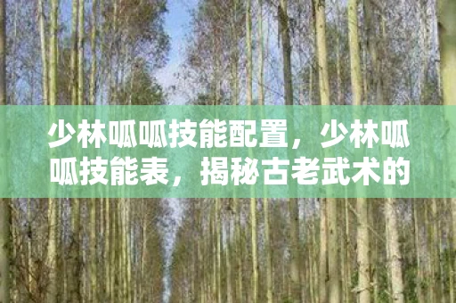 少林呱呱技能配置，少林呱呱技能表，揭秘古老武术的奥秘