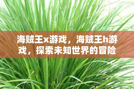 海贼王x游戏，海贼王h游戏，探索未知世界的冒险