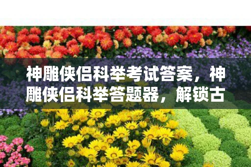 神雕侠侣科举考试答案，神雕侠侣科举答题器，解锁古代文人的智慧与趣味