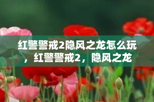 红警警戒2隐风之龙怎么玩，红警警戒2，隐风之龙