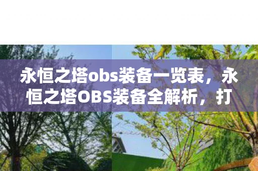 永恒之塔obs装备一览表，永恒之塔OBS装备全解析，打造顶尖战斗力的必备指南
