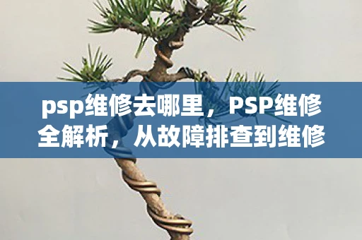 psp维修去哪里，PSP维修全解析，从故障排查到维修技巧