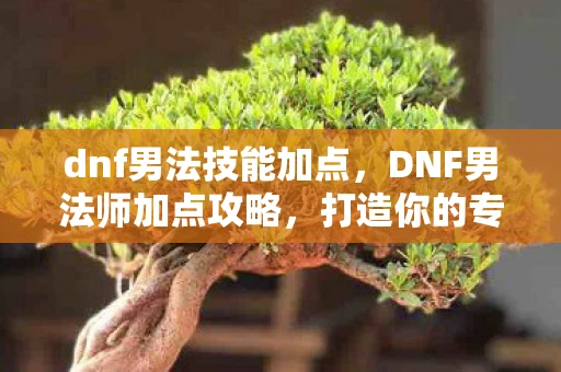 dnf男法技能加点，DNF男法师加点攻略，打造你的专属法师