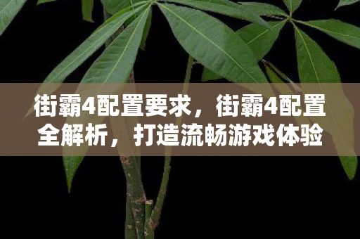 街霸4配置要求，街霸4配置全解析，打造流畅游戏体验