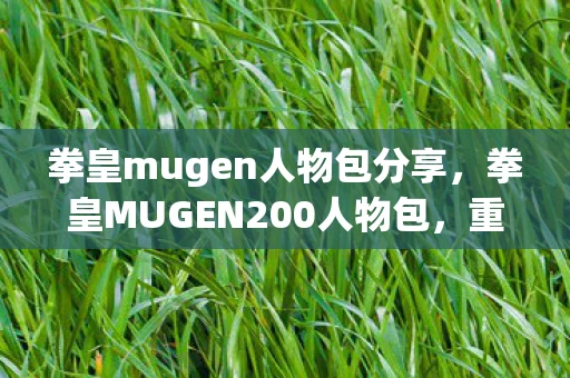 拳皇mugen人物包分享，拳皇MUGEN200人物包，重温经典，再战江湖
