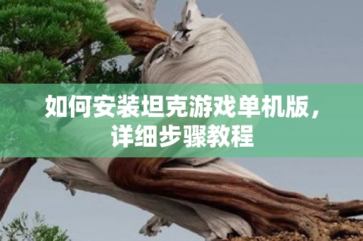 如何安装坦克游戏单机版图片