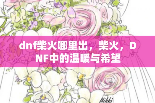 dnf柴火哪里出，柴火，DNF中的温暖与希望