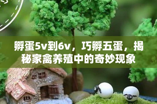 孵蛋5v到6v，巧孵五蛋，揭秘家禽养殖中的奇妙现象