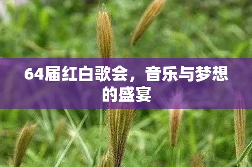 64届红白歌会，音乐与梦想的盛宴