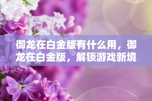 御龙在白金版有什么用，御龙在白金版，解锁游戏新境界