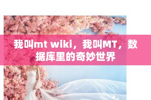 我叫mt wiki，我叫MT，数据库里的奇妙世界