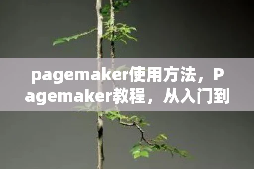 pagemaker使用方法，Pagemaker教程，从入门到精通的排版设计指南