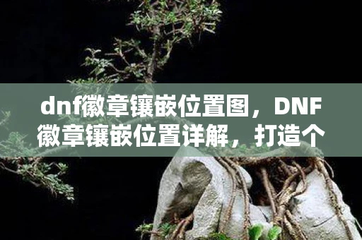dnf徽章镶嵌位置图，DNF徽章镶嵌位置详解，打造个性化角色，提升战斗力的关键一步