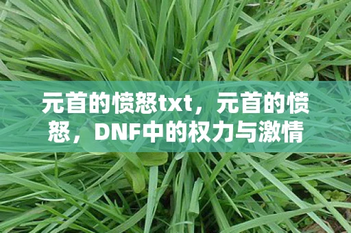 元首的愤怒txt，元首的愤怒，DNF中的权力与激情