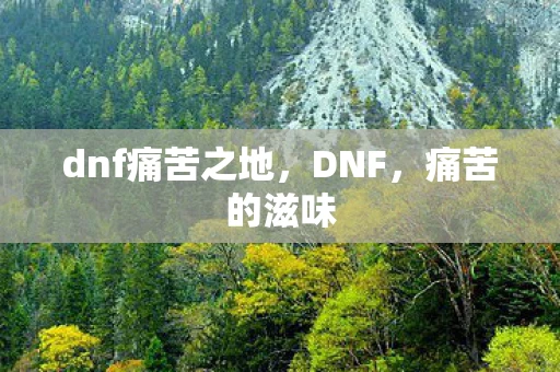 dnf痛苦之地，DNF，痛苦的滋味