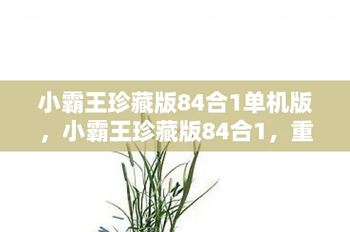 小霸王珍藏版84合1单机版，小霸王珍藏版84合1，重温经典，唤醒童年回忆