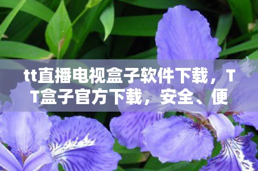tt直播电视盒子软件下载，TT盒子官方下载，安全、便捷、高效的娱乐新选择