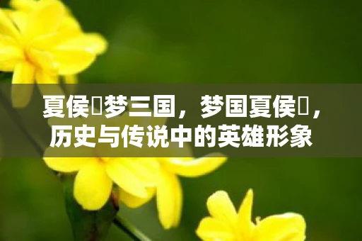 夏侯惇梦三国，梦国夏侯惇，历史与传说中的英雄形象