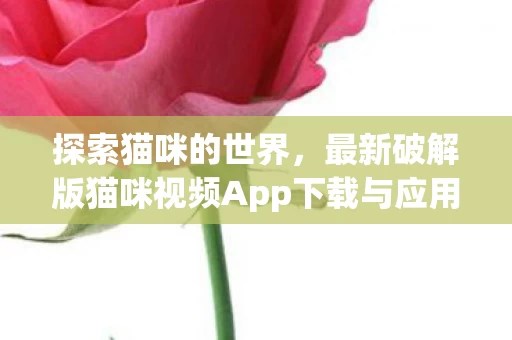 最新破解版猫咪视频App下载与应用图片