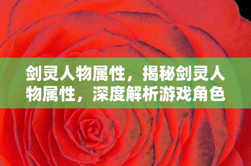 剑灵人物属性，揭秘剑灵人物属性，深度解析游戏角色设定