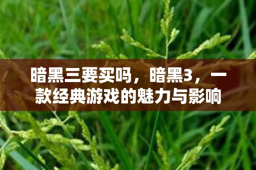 暗黑三要买吗，暗黑3，一款经典游戏的魅力与影响