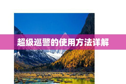 超级巡警的使用方法详解图片
