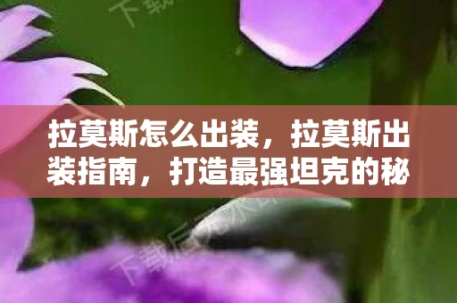 拉莫斯怎么出装，拉莫斯出装指南，打造最强坦克的秘诀