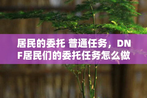 居民的委托 普通任务，DNF居民们的委托任务怎么做