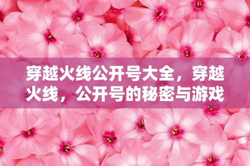 穿越火线公开号大全，穿越火线，公开号的秘密与游戏内外的博弈
