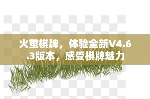 体验全新V4图片