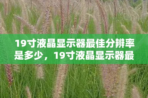 19寸液晶显示器最佳分辨率是多少，19寸液晶显示器最佳分辨率全解析
