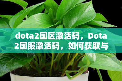dota2国区激活码，Dota2国服激活码，如何获取与使用