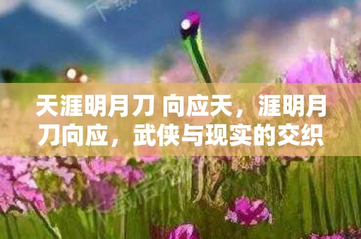 天涯明月刀 向应天，涯明月刀向应，武侠与现实的交织