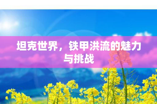 铁甲洪流的魅力与挑战图片