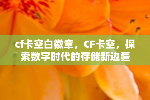 cf卡空白徽章，CF卡空，探索数字时代的存储新边疆