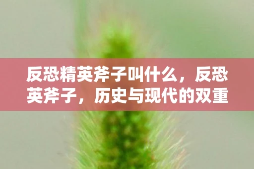 反恐精英斧子叫什么，反恐英斧子，历史与现代的双重挑战